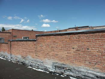 Car D'Lane Street Views (5)