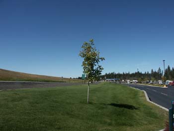 Coeur d'Alene Casino (10)