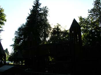 Coeur d'Alene Lake Area Photographs (217)