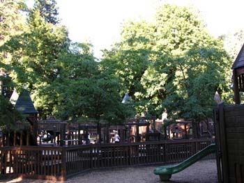 Coeur d'Alene Lake Area Photographs (239)