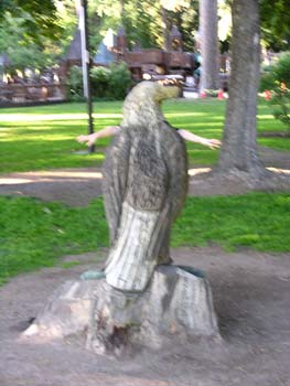 Coeur d'Alene Lake Area Photographs (247)