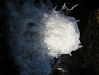 Coeur d'Alene Lake Area Photographs (257)