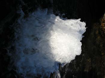 Coeur d'Alene Lake Area Photographs (258)