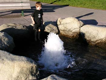 Coeur d'Alene Lake Area Photographs (262)