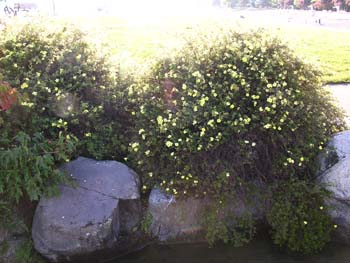 Coeur d'Alene Lake Area Photographs (266)