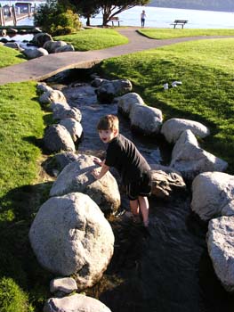 Coeur d'Alene Lake Area Photographs (267)