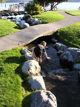 Coeur d'Alene Lake Area Photographs (268)