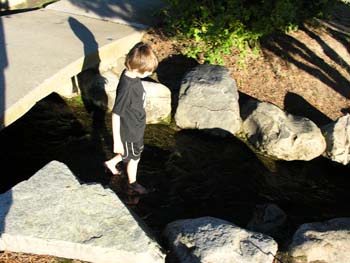 Coeur d'Alene Lake Area Photographs (273)