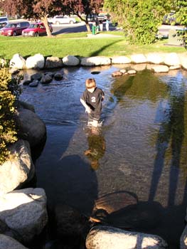Coeur d'Alene Lake Area Photographs (279)