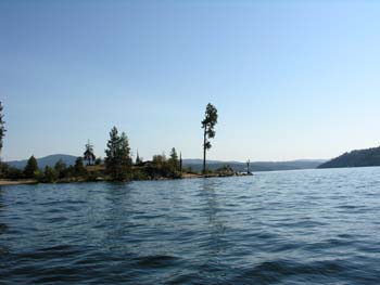 Coeur d'Alene Lake Area Photographs (313)