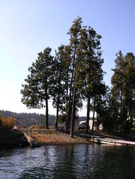 Coeur d'Alene Lake Area Photographs (331)