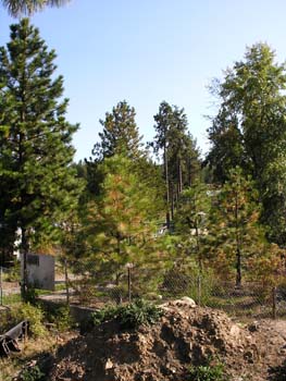 Coeur d'Alene Lake Area Photographs (368)