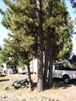 Coeur d'Alene Lake Area Photographs (378)