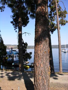 Coeur d'Alene Lake Area Photographs (381)