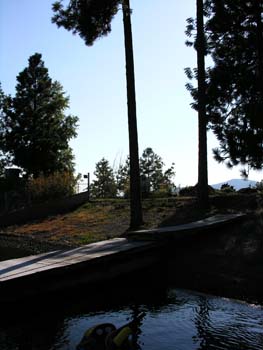 Coeur d'Alene Lake Area Photographs (388)