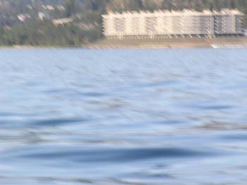 Coeur d'Alene Lake Area Photographs (447)