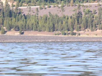 Coeur d'Alene Lake Area Photographs (467)