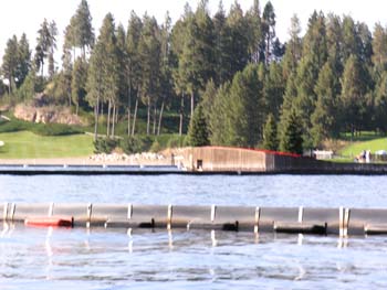Coeur d'Alene Lake Area Photographs (522)