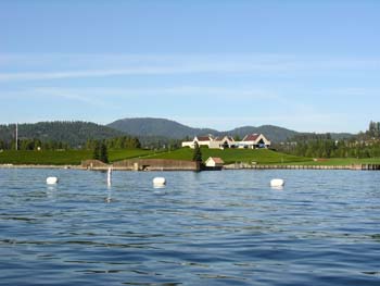 Coeur d'Alene Lake Area Photographs (525)
