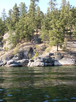 Coeur d'Alene Lake Area Photographs (561)