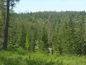 Coeur d'Alene Lake Area Photographs (586)