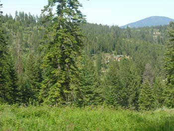 Coeur d'Alene Lake Area Photographs (588)