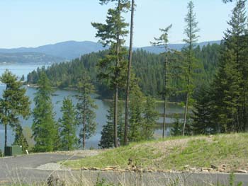 Coeur d'Alene Lake Area Photographs (595)