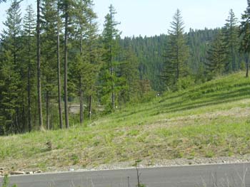 Coeur d'Alene Lake Area Photographs (597)