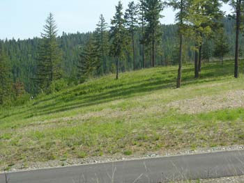 Coeur d'Alene Lake Area Photographs (598)
