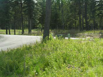 Coeur d'Alene Lake Area Photographs (603)