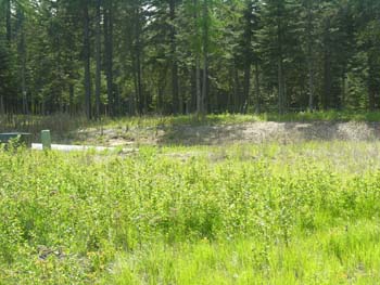 Coeur d'Alene Lake Area Photographs (604)