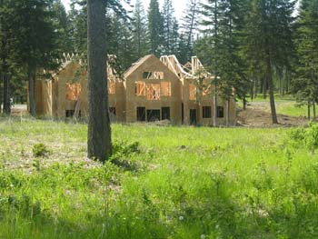 Coeur d'Alene Lake Area Photographs (607)
