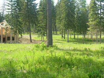 Coeur d'Alene Lake Area Photographs (608)