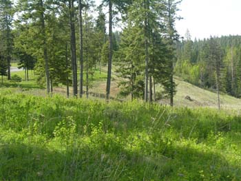 Coeur d'Alene Lake Area Photographs (610)