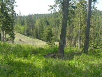 Coeur d'Alene Lake Area Photographs (611)