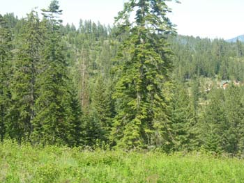 Coeur d'Alene Lake Area Photographs (614)