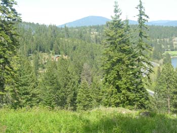 Coeur d'Alene Lake Area Photographs (615)