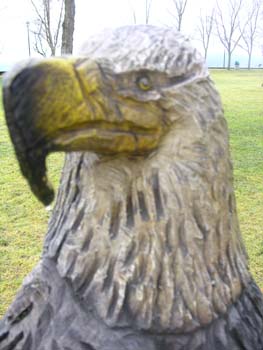 Coeur d'Alene Lake Area Photographs (624)