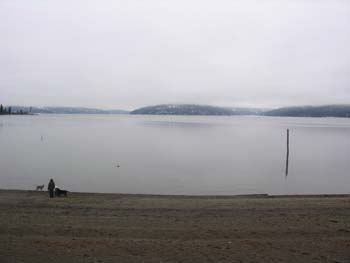 Coeur d'Alene Lake Area Photographs (629)