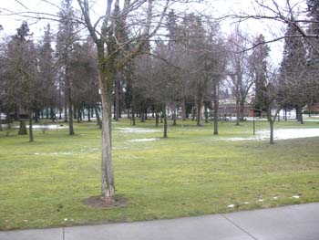 Coeur d'Alene Lake Area Photographs (634)