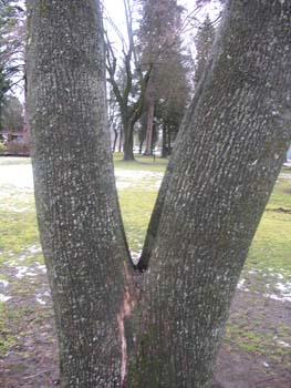 Coeur d'Alene Lake Area Photographs (644)