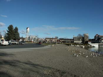 Coeur d'alene (20)