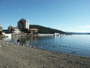 Coeur d'alene (23)