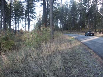 Coeur d'alene (37)