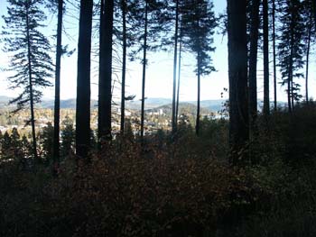 Coeur d'alene (40)