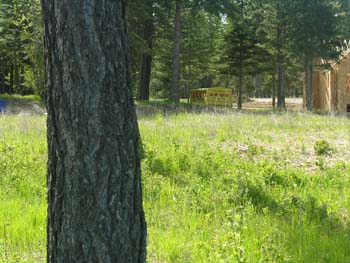 Cougar Bay (21)