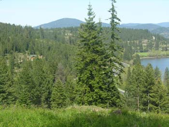 Cougar Bay (4)