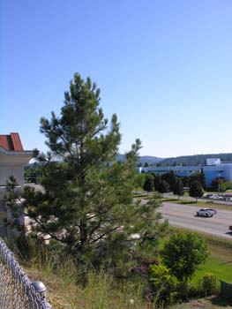 Wildwaters Coeur d'Alene (1)