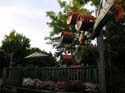 Coeur d'Alene Lake Area Photographs (113)