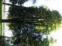Coeur d'Alene Lake Area Photographs (212)